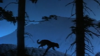 Il y a 34 ans, tous les enfants des années 90 pleuraient à la fin de ce film Disney