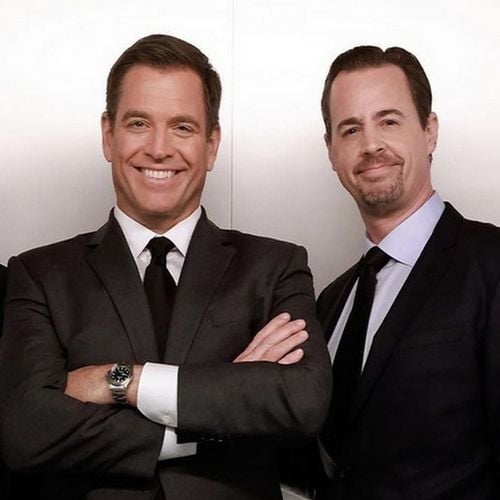 NCIS saison 24 : Tony revient, quelles relations avec McGee, Torres ou encore Knight ? Le créateur détaille la suite