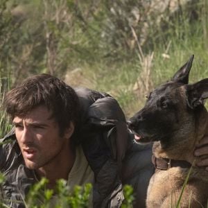 The Dog Stars
