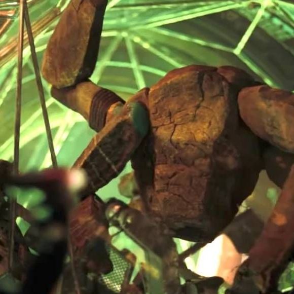 Rocky dans Projet Dernière Chance