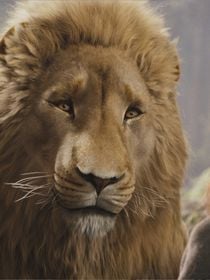 Le film le plus cher jamais produit par Netflix sera un reboot d'une saga fantastique, mails il ne sortira pas au cinéma en France