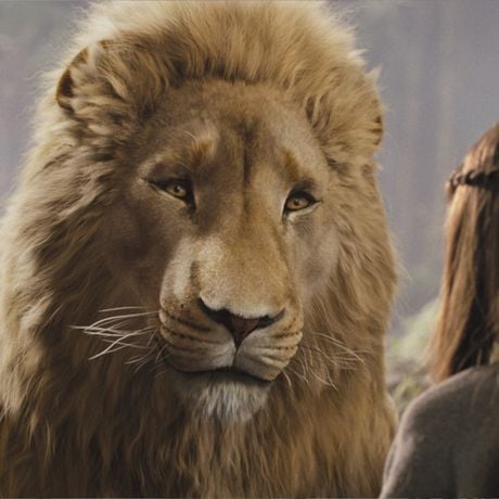 Le film le plus cher jamais produit par Netflix sera un reboot d'une saga fantastique, mails il ne sortira pas au cinéma en France