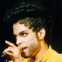 Prince : un nouveau coffret dantesque !