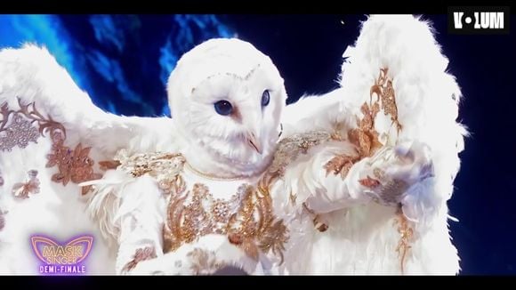 La Chouette le 19 juin 2026 sur le plateau de Mask Singer.