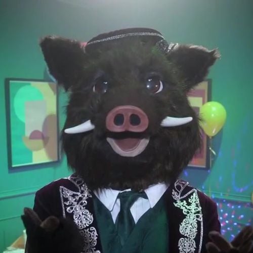 Mask Singer 2026 : une figure incontournable de TF1 se cachait dans le costume du Sanglier