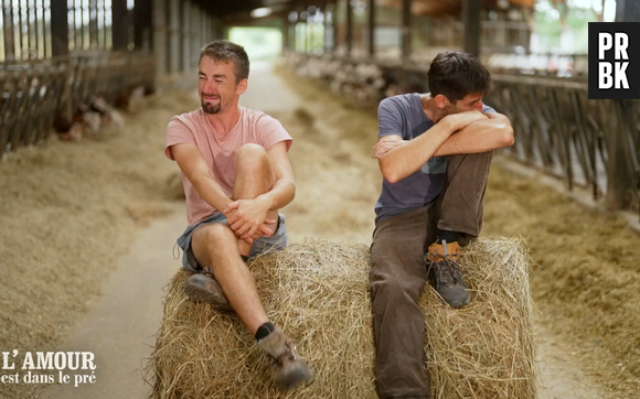 Etienne et Fabien, les deux frères de L'Amour est dans le pré 2026