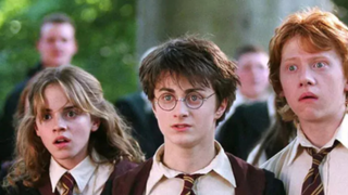 Harry Potter : cette annonce surprise fait (enfin) le bonheur de nombreux fans, mais risque de diviser les acteurs
