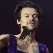 "C'est mon dernier concert" : la vidéo d'une fan malade de Harry Styles bouleverse le monde entier