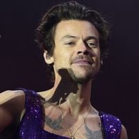 "C'est mon dernier concert" : la vidéo d'une fan malade de Harry Styles bouleverse le monde entier