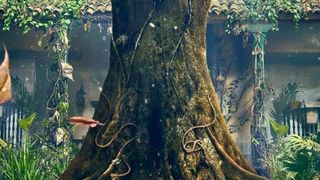 On a attendu 1 an et 7 mois pour la conclusion de cette série épique de Netflix : les 8 derniers épisodes ont enfin une date de sortie