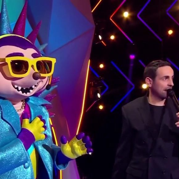 Mask Singer 2026 : Le Hérisson démasqué, voici quelle star mondiale se cachait sous le costume