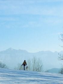 Aujourd'hui sur Netflix : 1 Oscar, 6,8 millions d'entrées, noté 96%... C'est tout simplement le meilleur film de 2023