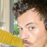 Harry Styles : records en série pour sa tournée !