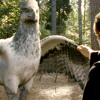 Un mélange entre Harry Potter et Le Monde de Narnia : Disney va porter à l'écran l'une des sagas fantastiques les plus populaires du moment