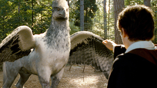 Un mélange entre Harry Potter et Le Monde de Narnia : Disney va porter à l'écran l'une des sagas fantastiques les plus populaires du moment