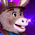 Mask Singer : L'Âne remporte cette édition 2026, et il s'agissait de...
