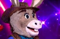 Mask Singer accueille un nouvel enquêteur guest, le Loup-Garou. Et on a reconnu sa voix !