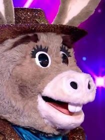 Mask Singer : L'Âne remporte cette édition 2026, et il s'agissait de...