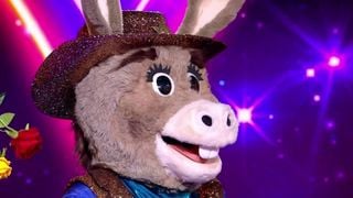 Mask Singer : L'Âne remporte cette édition 2026, et il s'agissait de...