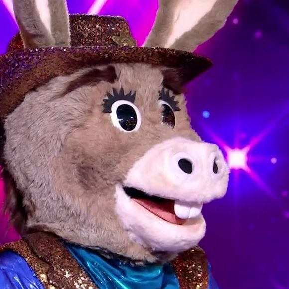 Mask Singer : L'Âne remporte cette édition 2026, et il s'agissait de...