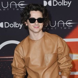 Timothee Chalamet - Première de "Dune, deuxième partie" à New York, le 25 février 2024.