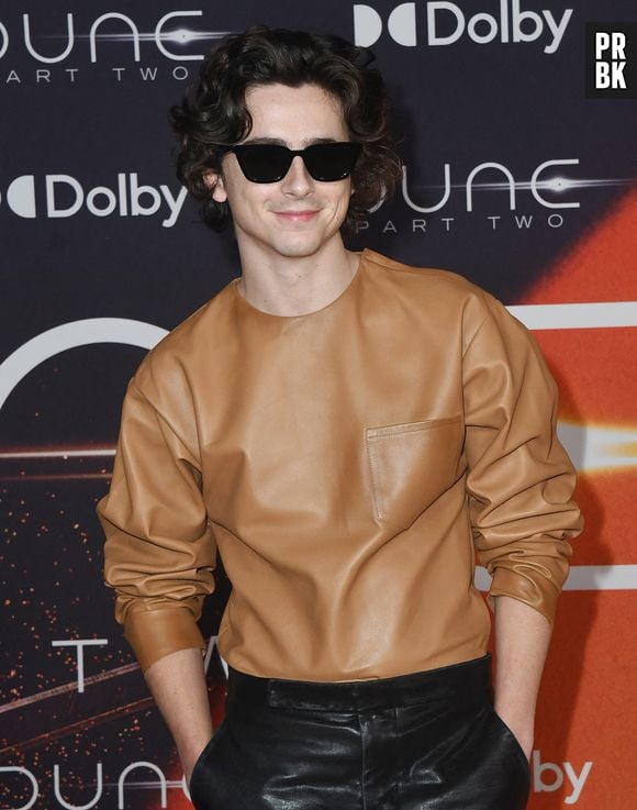 Timothee Chalamet - Première de "Dune, deuxième partie" à New York, le 25 février 2024.