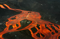 Bande-annonce de la série documentaire Les dinosaures