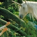 "Je l'ai réalisé 25 ans trop tôt" : le réalisateur Ridley Scott est certain que son échec dans le domaine du fantastique a préfiguré Le Seigneur des Anneaux et Harry Potter