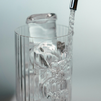 Canicule : 3 façons d’utiliser des glaçons pour rafraîchir son intérieur