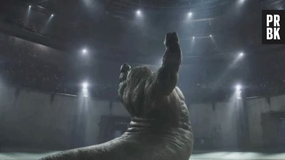Rotta The Hutt