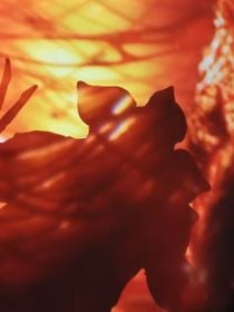 Stranger Things de retour : Netflix annonce un projet inattendu et très prometteur