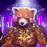 Mask Singer : pas vu à la télé, ce moment qui a fait trembler Le Panda Roux, "J'étais pas à l'aise, j'avais peur"