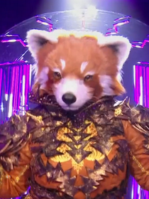 Mask Singer : pas vu à la télé, ce moment qui a fait trembler Le Panda Roux, "J'étais pas à l'aise, j'avais peur"
