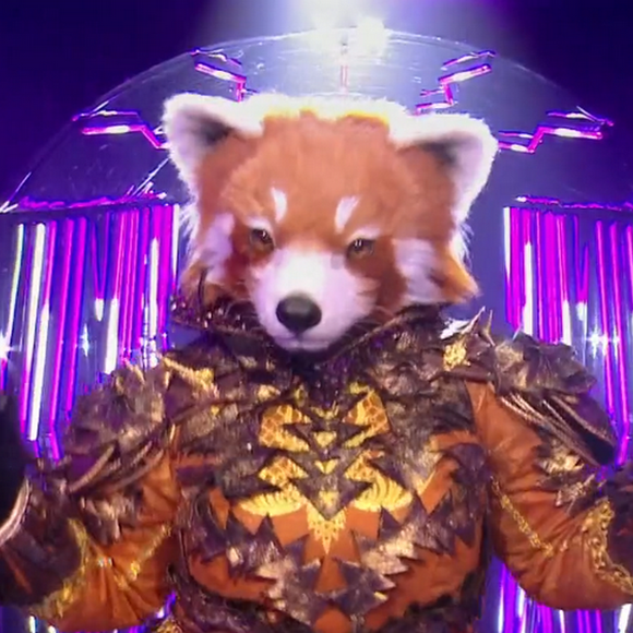 Mask Singer : pas vu à la télé, ce moment qui a fait trembler Le Panda Roux, "J'étais pas à l'aise, j'avais peur"