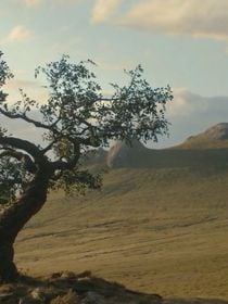 La meilleure série de 2026 aura une suite et elle sera diffusée plus vite que vous le n'imaginez