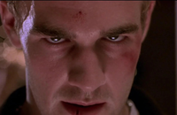 Bande-annonce du film Les Lois de l'attraction