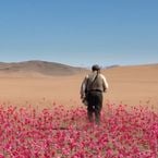 Aujourd'hui en streaming : l'adaptation d'un livre vendu à des millions d'exemplaires et traduit en 40 langues