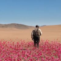 Aujourd'hui en streaming : l'adaptation d'un livre vendu à des millions d'exemplaires et traduit en 40 langues