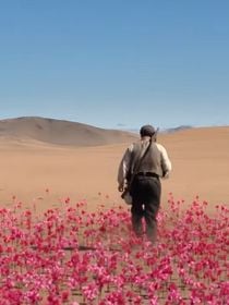 Aujourd'hui en streaming : l'adaptation d'un livre vendu à des millions d'exemplaires et traduit en 40 langues