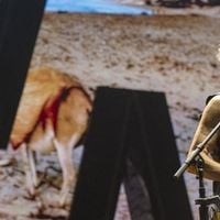 Depeche Mode en forme magistrale à Bercy