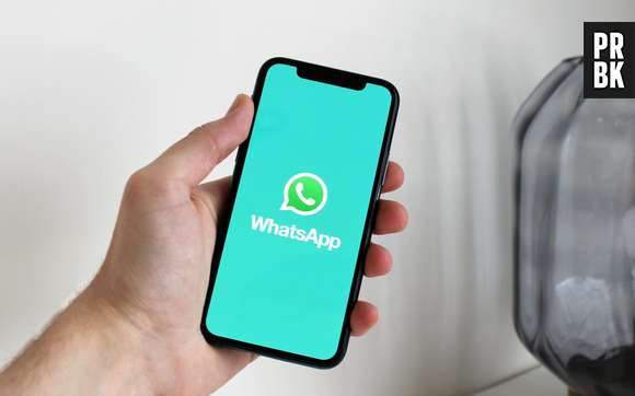 Si un cercle bleu apparaît sur votre WhatsApp, nous avons de bonnes et de mauvaises nouvelles. Meta AI se propage en Europe