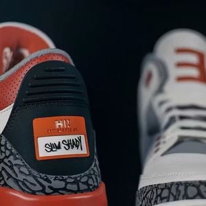 Les Jordan 3 Slim Shady