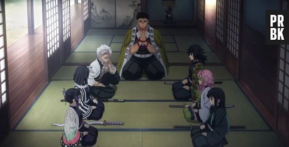 Demon Slayer - entrainement des piliers