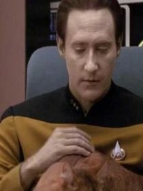On tous accepté cette erreur de Star Trek pendant 30 ans : il y a quelque chose qui cloche avec le chat de Data dans la série de science-fiction