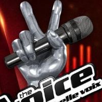 "The Voice" : les coachs sont...