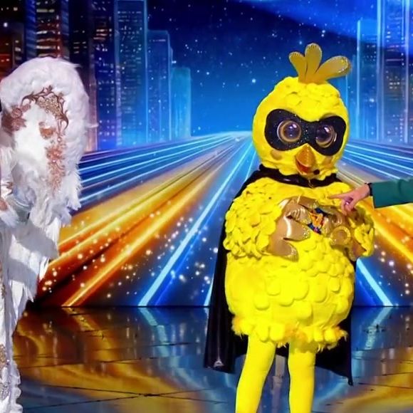 Le Poussin et la Chouette dans Mask Singer le 12 juin 2026 sur TF1.