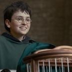La série Harry Potter meilleure que les films ? Un acteur adoré de la saga en est déjà persuadé