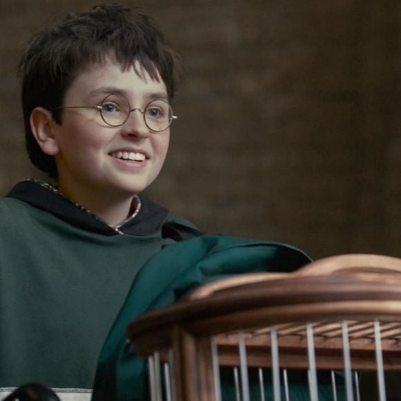 La série Harry Potter meilleure que les films ? Un acteur adoré de la saga en est déjà persuadé