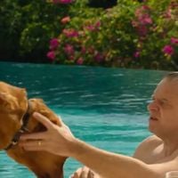 Bandi : la scène du chien trop cruelle ? Face aux critiques, Netflix s'explique