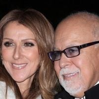 Céline Dion suspend toutes ses activités professionnelles